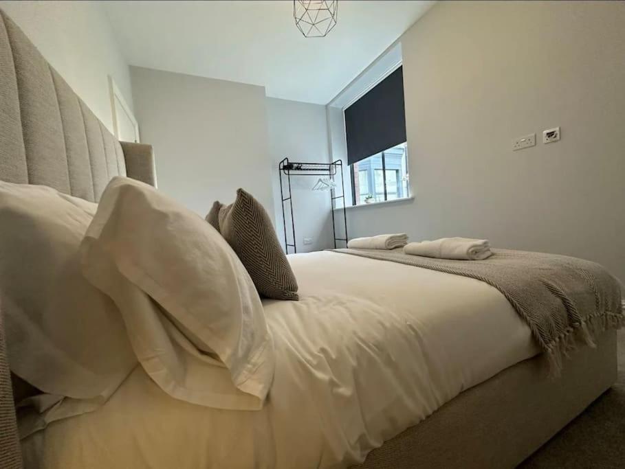 Superior Stay, Sophia Gardens, City Centre And Stadium Sleeps 4 Cardiff Zewnętrze zdjęcie